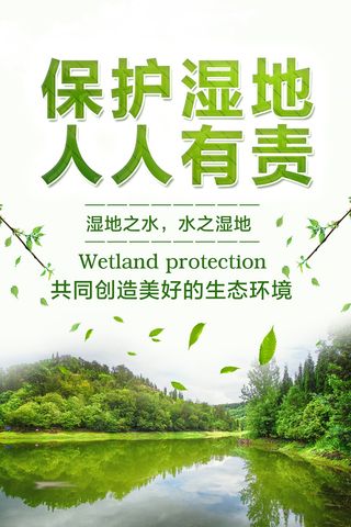 保护湿地人人有责公益环保宣传海报展板