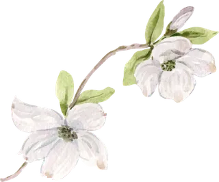 插画免抠高清素材