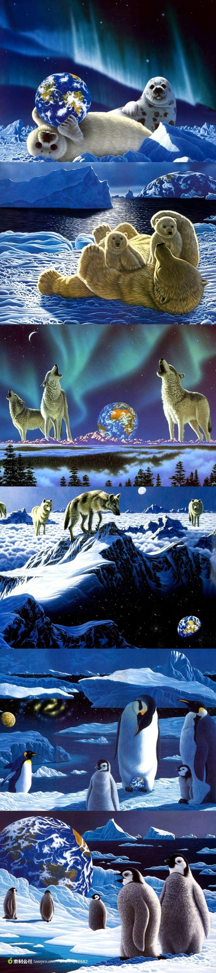 海狮北极熊狼企鹅插画素材