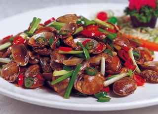 0911XC-491辣炒花蛤