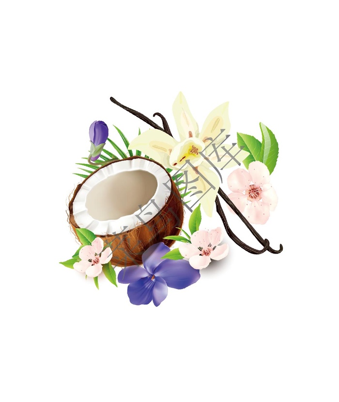 椰果鲜花高清图