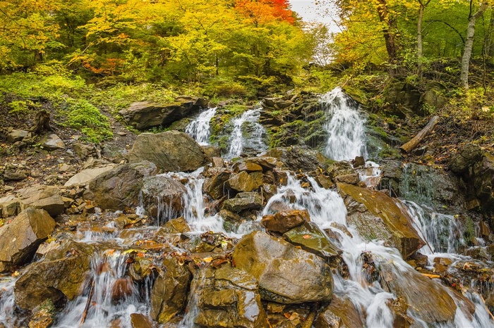 秋季丛林间的溪水风景