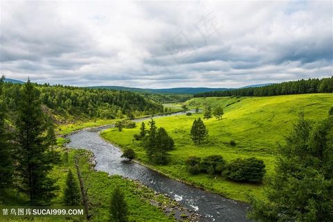 森林河流风景图片