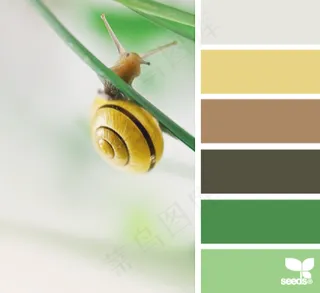 动物配色色卡色彩搭配