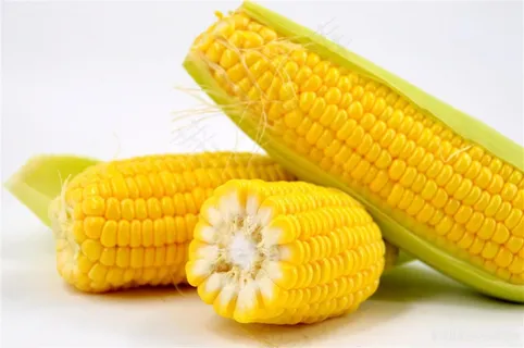 甜玉米 新鲜玉米 甜玉米 新鲜玉米