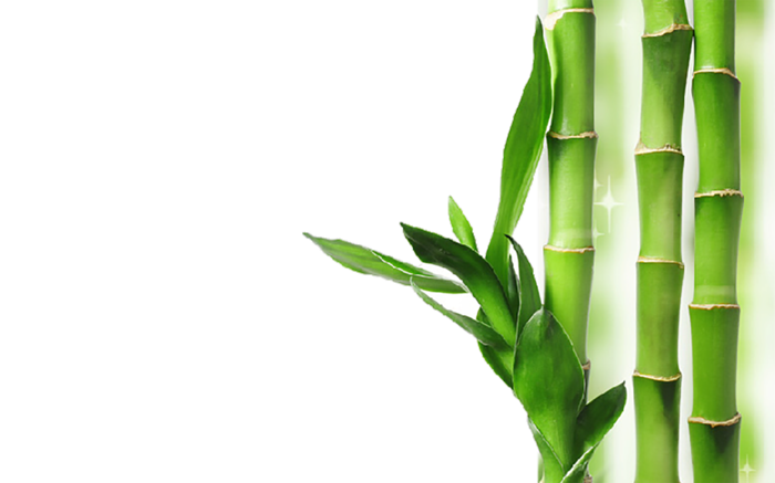 柱子绿植卡通