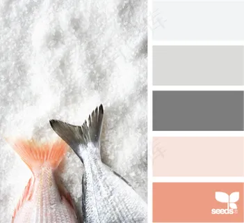 冬天系配色色卡色彩搭配 冬天系配色色卡色彩搭配