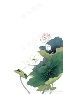 手绘荷花池塘元素 手绘荷花池塘元素