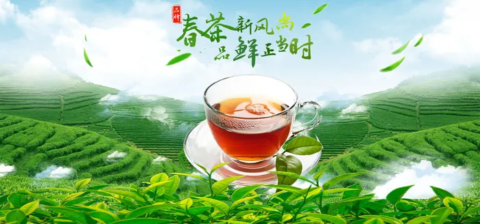 春茶上市茶叶素材psd模版下载