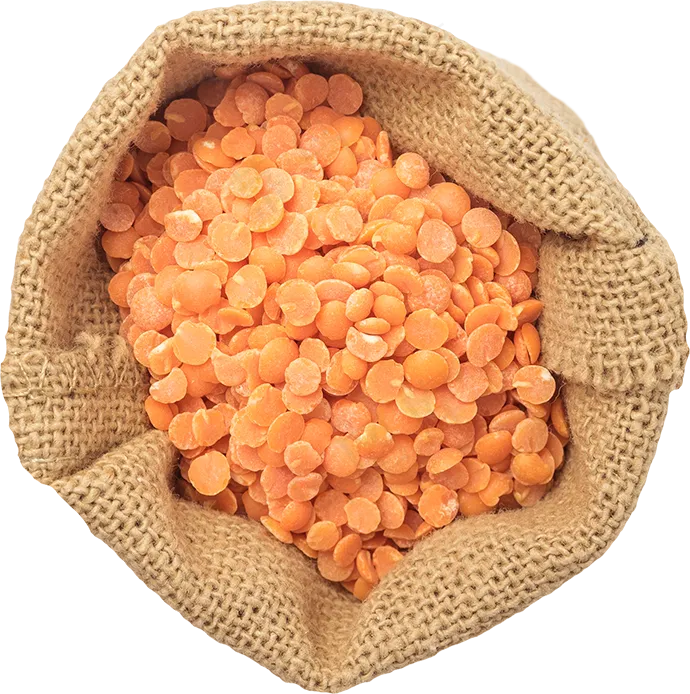 红扁豆布袋包