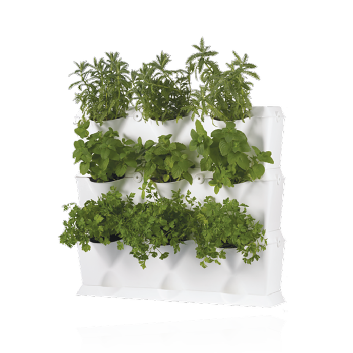 培养种植现代农业