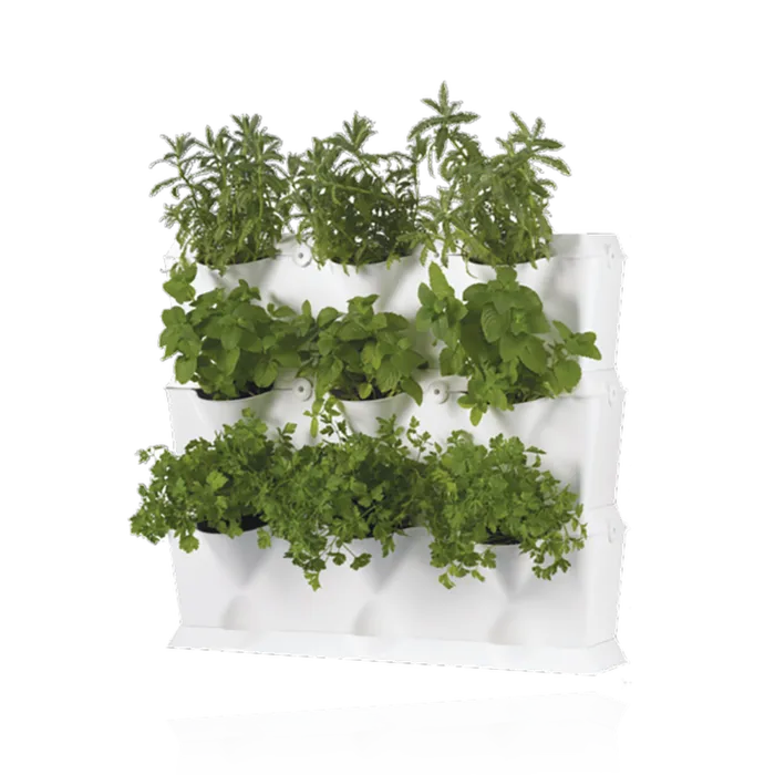 培养种植现代农业