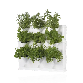 培养种植现代农业