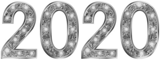 2020 年 PNG免抠(600x229)