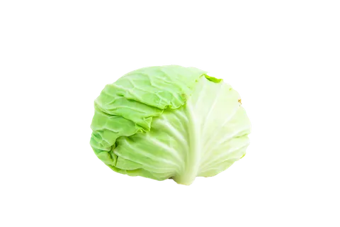 包菜 (21)超市商品白底图免抠实物摄影png格式图片透明底