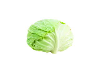 包菜 (21)超市商品白底图免抠实物摄影png格式图片透明底