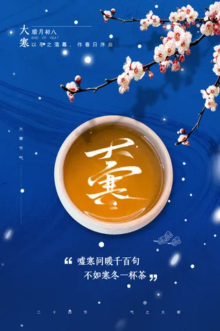 二十四24节气大寒中国传统节日冬季海报模设计素材