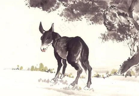 家畜美图图片素材