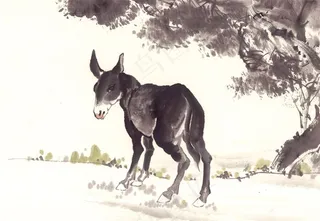 家畜美图图片素材