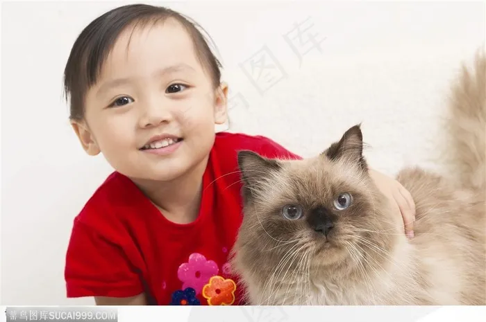 与波斯猫玩耍的儿童