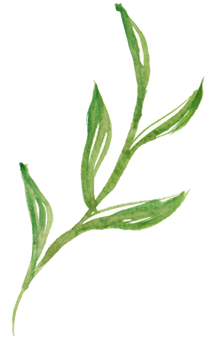 唯美森系手绘水彩花朵 免抠