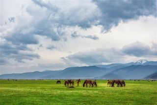 一望无际的草原