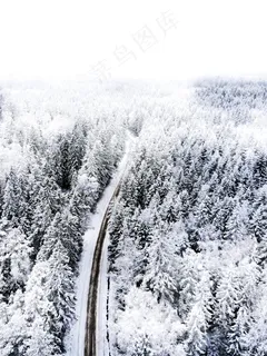 冬季白雪树林风景图片 冬季白雪树林风景图片