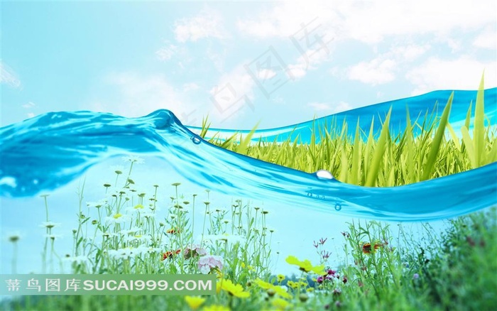 水野花草环保背景素材
