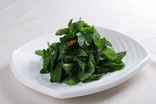 LCSC2245清凉薄荷叶