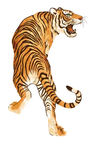 手绘国潮虎年卡通白虎老虎形象插画装饰元素PSD设计素材png免抠图