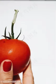 西红柿番茄广告背景