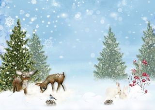 圣诞节蓝天白色风景背景墙