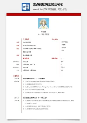 要点简明突出简历模板