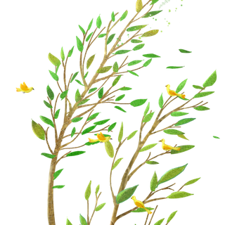 春天绿色春季水墨柳树柳条柳叶春季海报设计PNG免扣素材