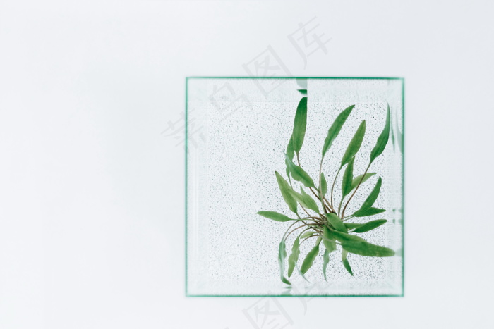 清新淡雅背景墙图片