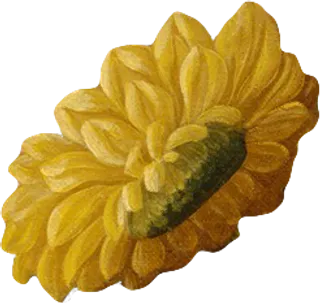 复古油画质感宫廷花卉植物花朵鲜花拼贴图案PNG免抠图片设计素材