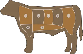 牛身体部位图剪影