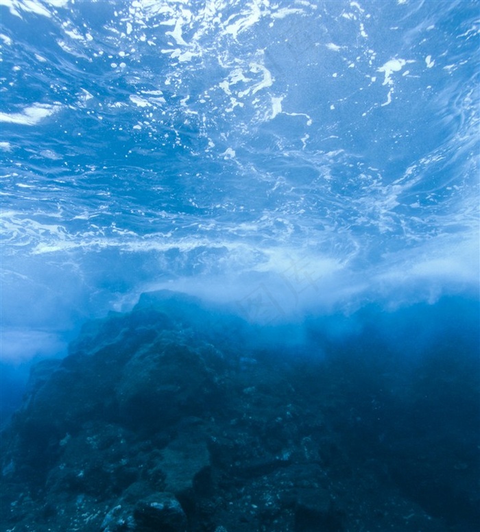 海底唯美风景素材欣赏