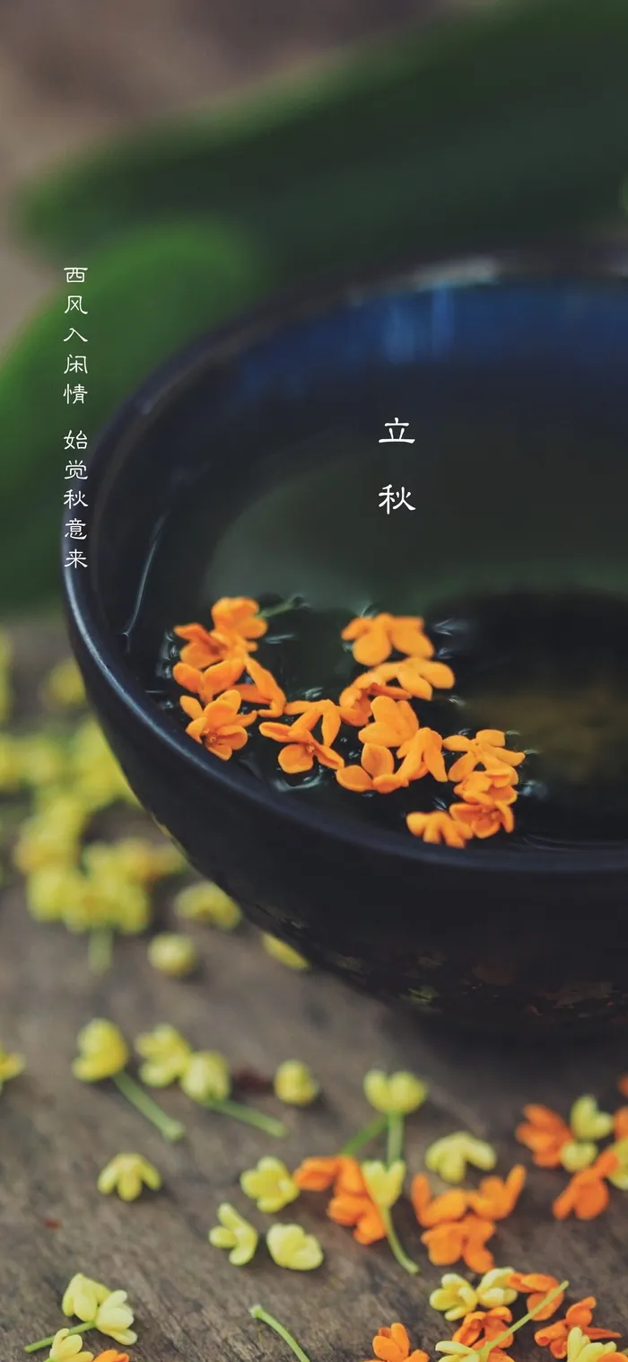 立秋秋分海报psd模版下载
