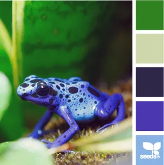 动物配色色卡色彩搭配