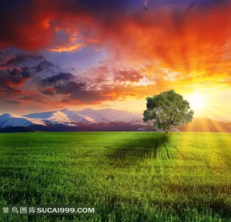 草原日出图片 草原日出图片