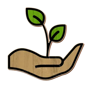 手托希望麦苗现代农业