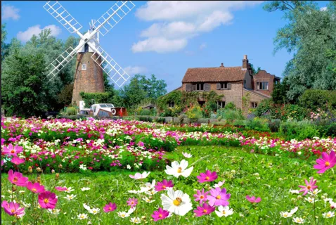 花草花卉背景风景 花草花卉背景风景