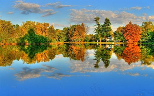 秋季公园湖泊和树木摄影