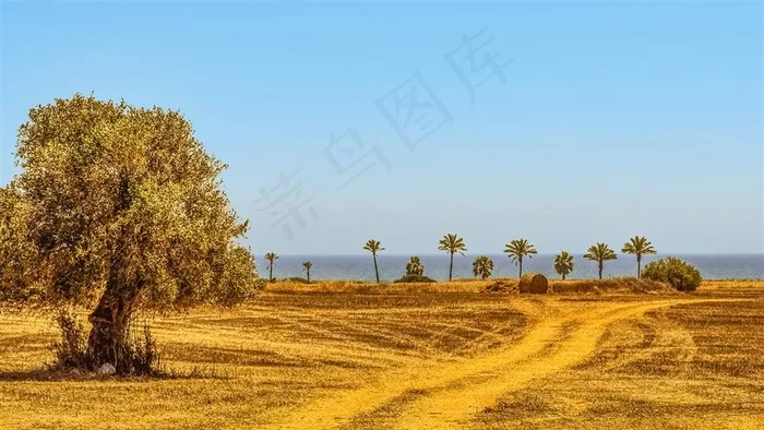 荒凉沙漠背景图