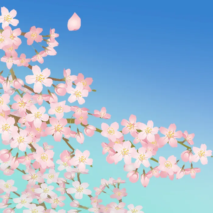 最美樱花赏花季背景psd模版下载