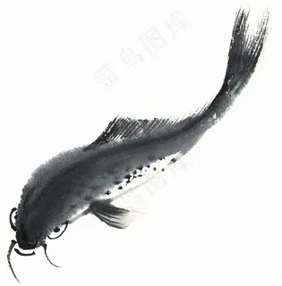 鱼虾蟹龟国画图片美图素材 鱼虾蟹龟国画图片美图素材