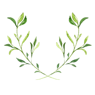 唯美森系手绘水彩花朵 免抠