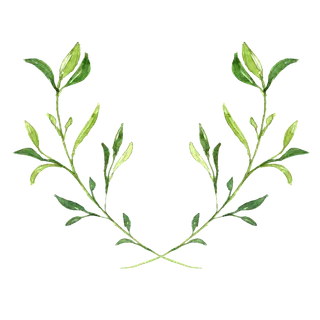 唯美森系手绘水彩花朵 免抠