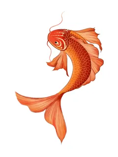 手绘烫金国潮中国风卡通锦鲤鱼金鱼插画装饰元素PSD设计素材